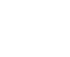 icon2 (1)